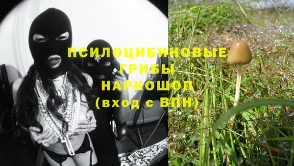 дурь Каменка