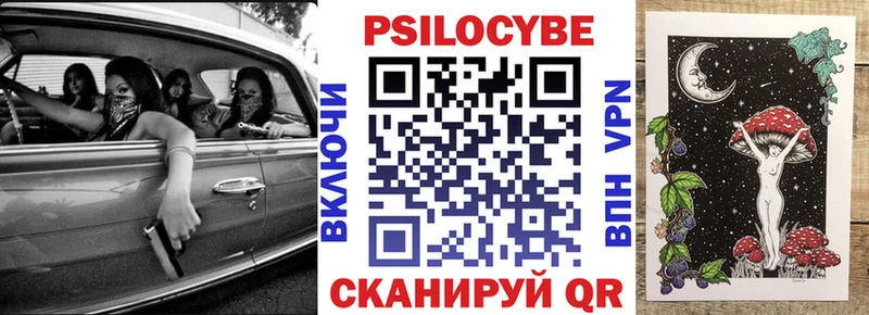 Купить где  Безенчук  Псилоцибиновые грибы мицелий 